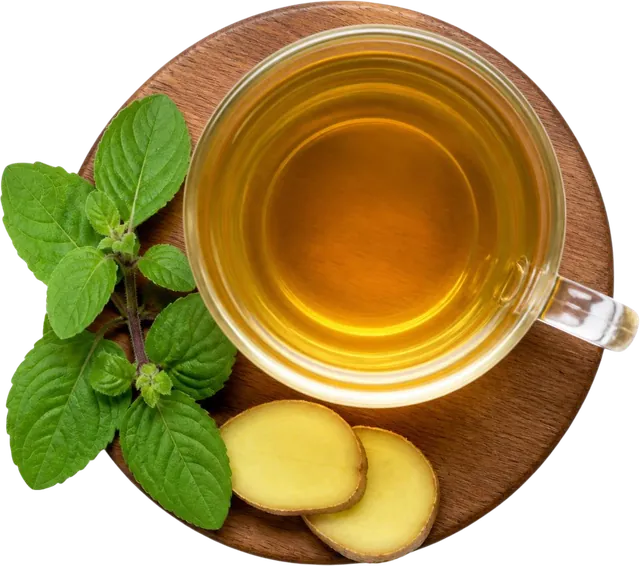 Illustration: a glass cup of herbal infusion with fresh leaves and ginger